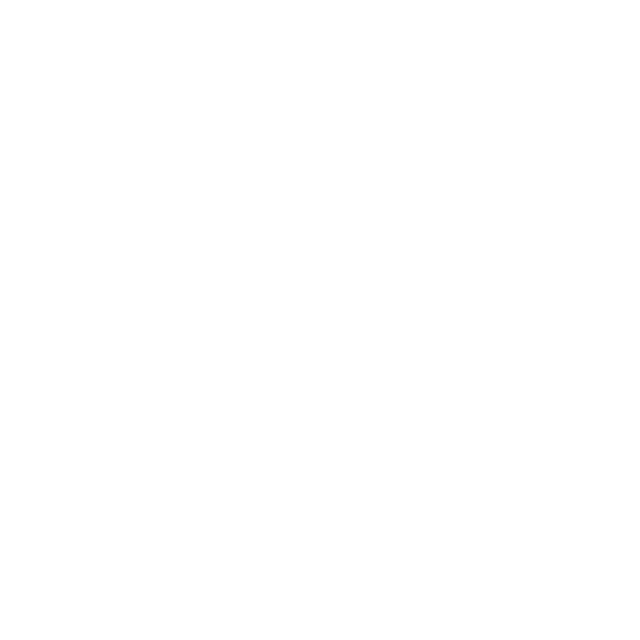Client 11